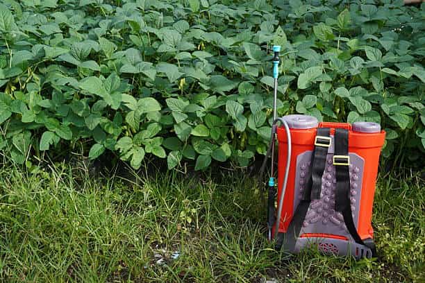 تصویر 4 از سمپاش شارژی اتوماتیک با نازل های متنوع و دقیق